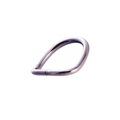 Stainless Steel D-Ring