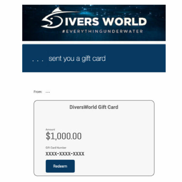 Diversworld Online Gift Card Details 1000