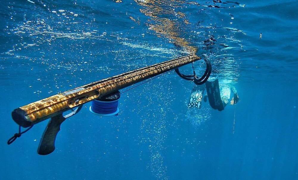 Aussie Reels - Diversworld Spearfishing Cairns Australia