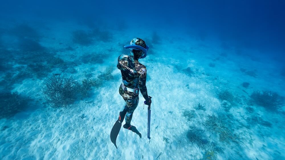 Discover Salvimar - Leading Spearfishing Gear - Diversworld Cairns Australia