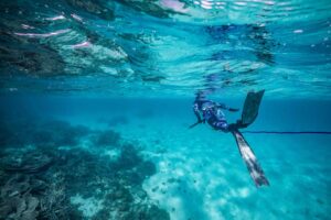 Upgrading Your Speargun Setup - Tips for Better Power, Accuracy & Durability - Diversworld Spearfishing Cairns Australia